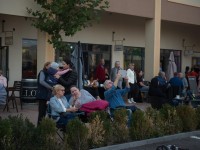 nicu-alifantis-zan-7